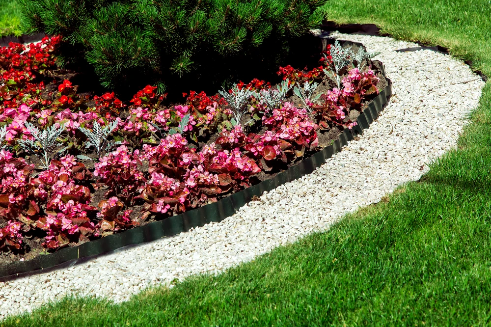 Curved flower bed with pink and red flowers, evergreen shrubs, and white gravel edging in a landscaped yard in Round Rock TX.