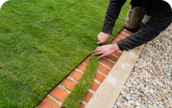 adams sod installation thumbnail - Adam's Lawn Service Austin