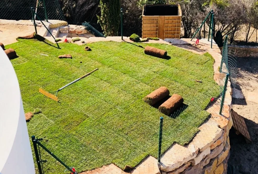 Two Week Guide for Austin Sod Installation Care