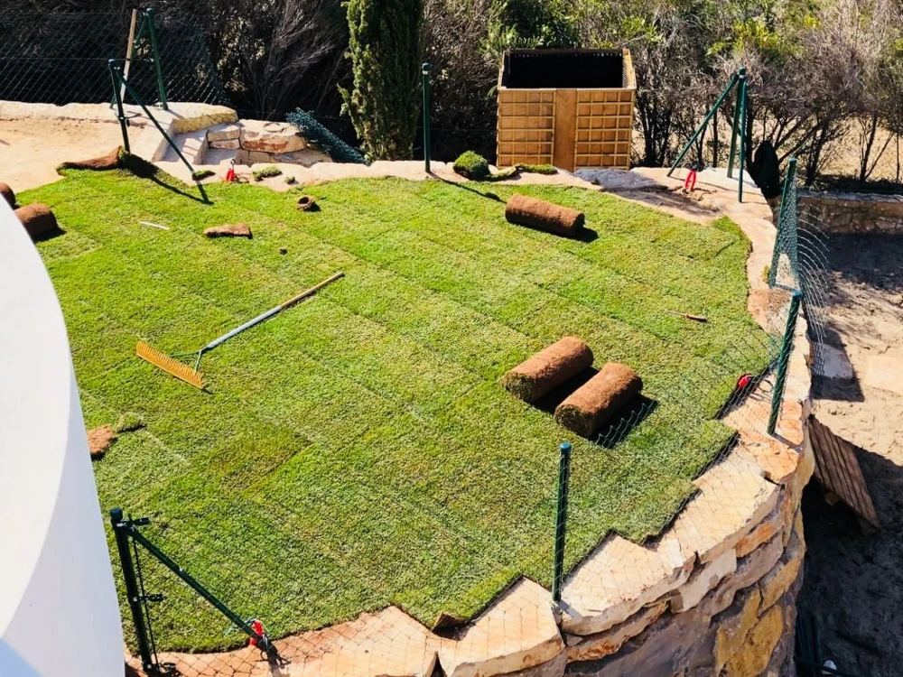 Two Week Guide for Austin Sod Installation Care
